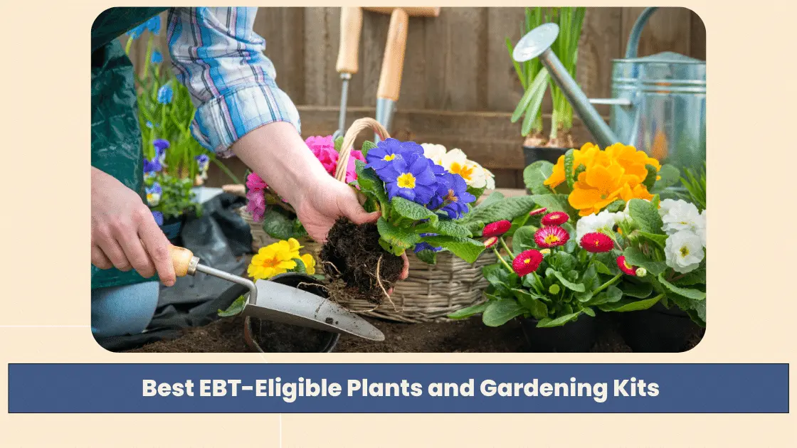 Best EBT-Eligible Plants and Gardening Kits