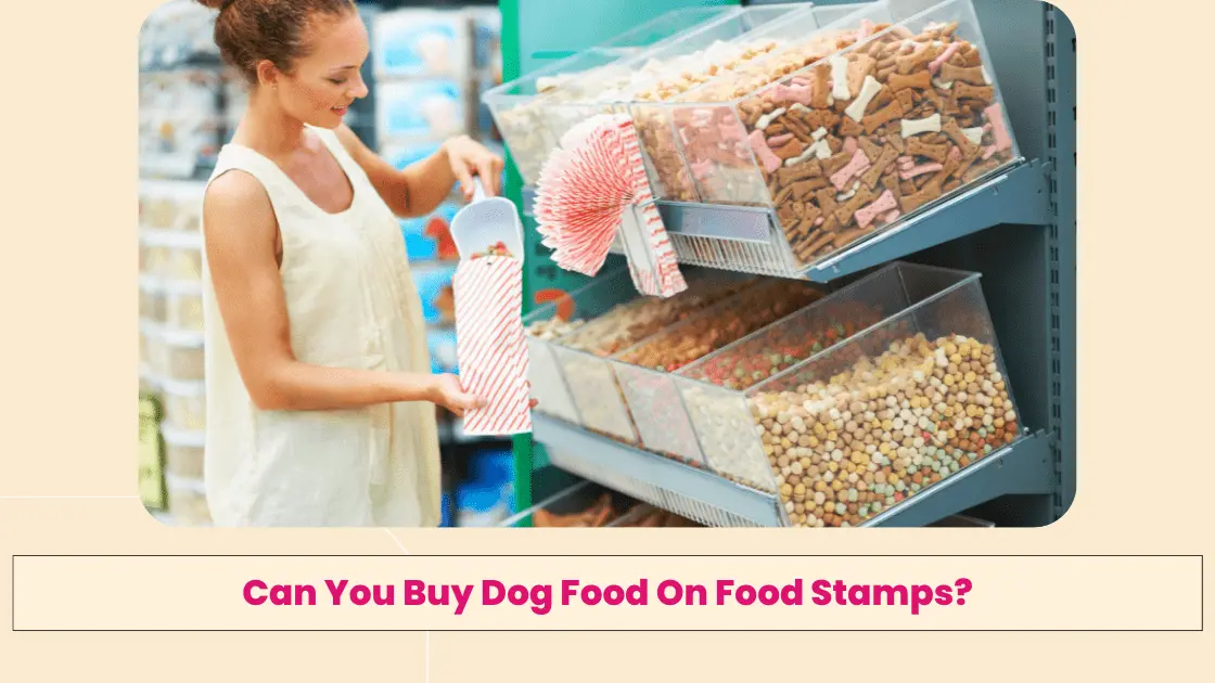 Can You Buy Dog Food On Food Stamps