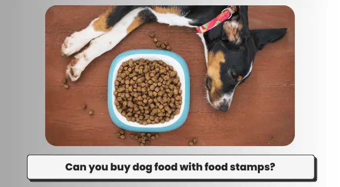 Can you buy dog food with food stamps?
