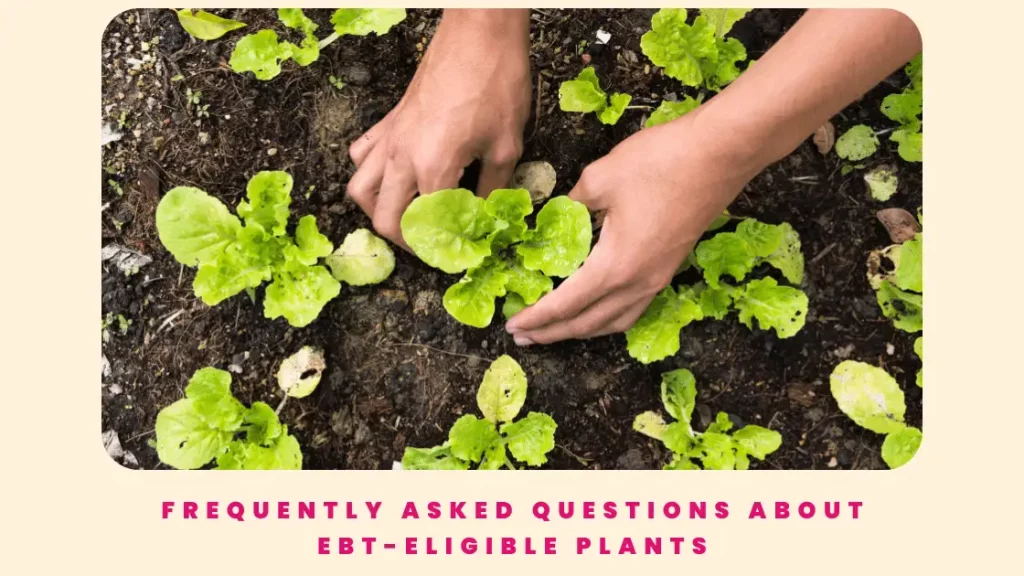 Frequently Asked Questions about EBT-Eligible Plants