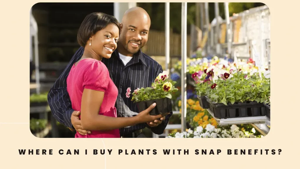 Where Can I Buy Plants With SNAP Benefits